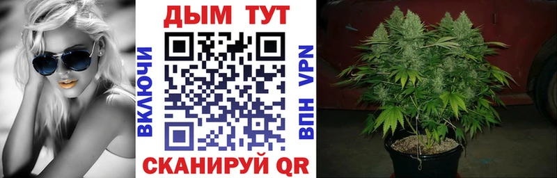 Продажа наркотиков Кинешма A PVP  Мефедрон  Кокаин 