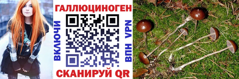 Псилоцибиновые грибы мицелий Кинешма